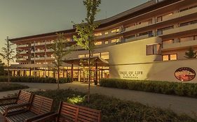 Spa Resort Tree Of Life
